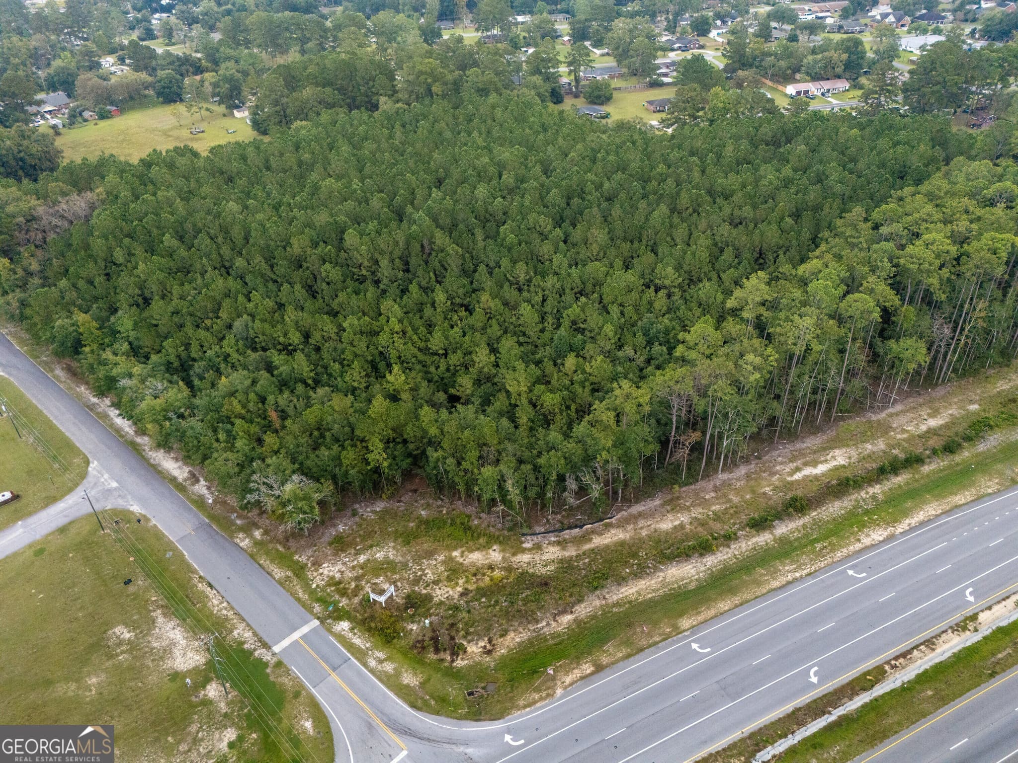 agriculture for sale at 0 W First St Extension, Springfield, GA 31329 — photo 5