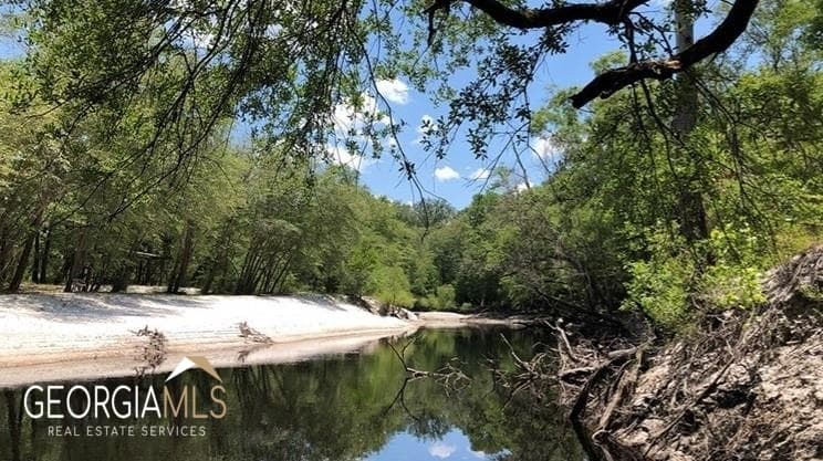 residential lot for sale at LOT 2 Baker Blvd/cr 4, St. George, GA 31562 — photo 2