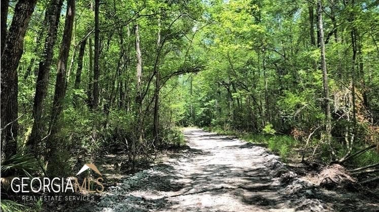 residential lot for sale at LOT 2 Baker Blvd/cr 4, St. George, GA 31562 — photo 6
