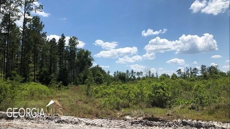 residential lot for sale at LOT 2 Baker Blvd/cr 4, St. George, GA 31562 — photo 7