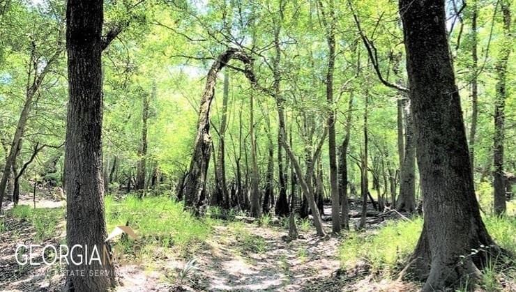 residential lot for sale at LOT 2 Baker Blvd/cr 4, St. George, GA 31562 — photo 5