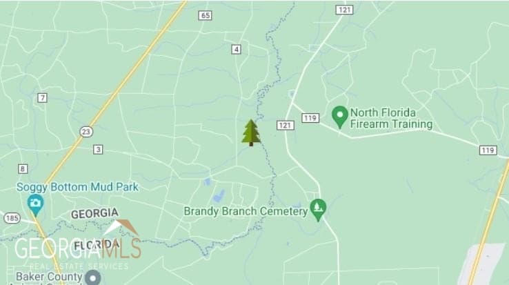 residential lot for sale at LOT 2 Baker Blvd/cr 4, St. George, GA 31562 — photo 9