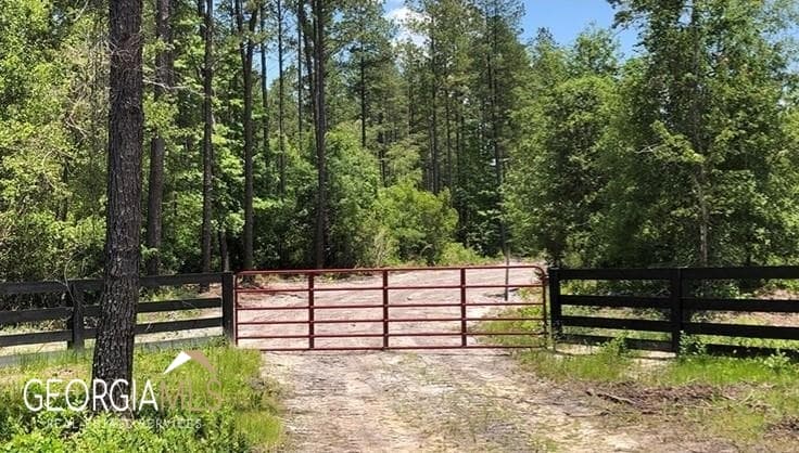 residential lot for sale at LOT 2 Baker Blvd/cr 4, St. George, GA 31562 — photo 4