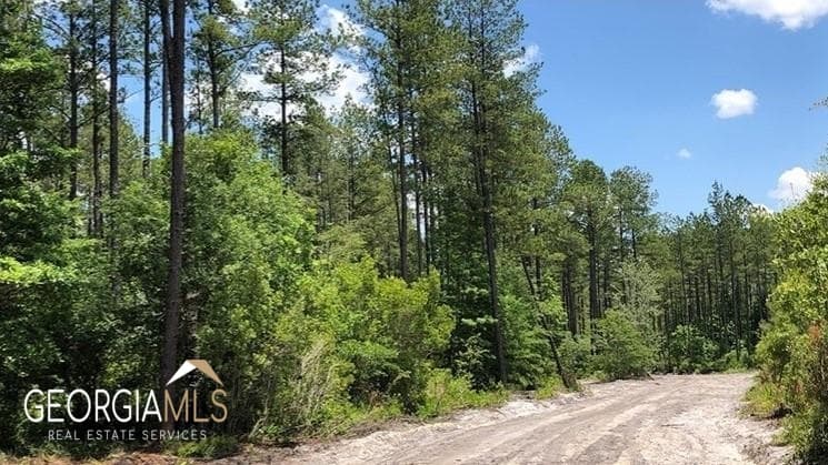 residential lot for sale at LOT 2 Baker Blvd/cr 4, St. George, GA 31562 — photo 8