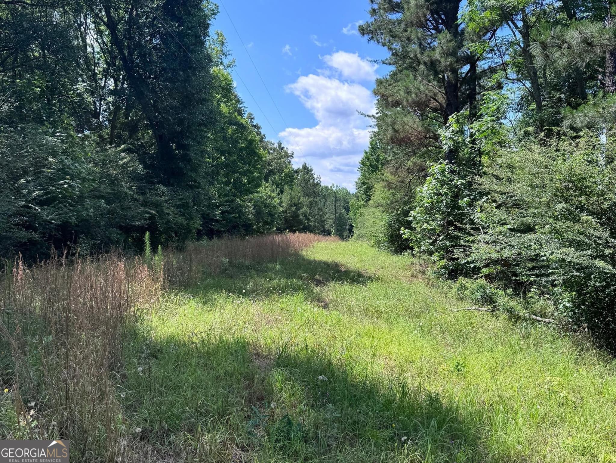 agriculture for sale at 427 Dripping Rock Road, Molena, GA 30258 — photo 3