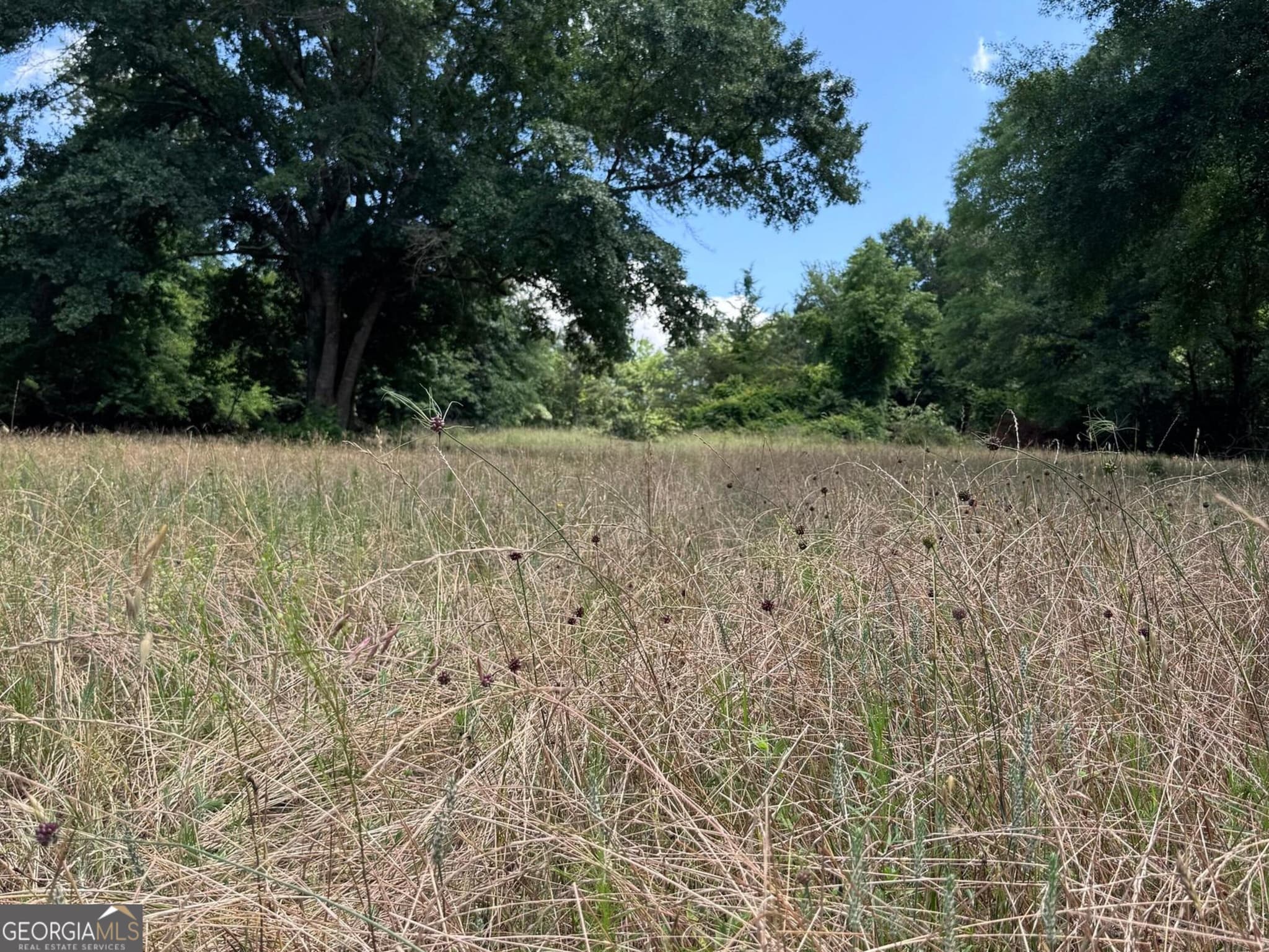 agriculture for sale at 427 Dripping Rock Road, Molena, GA 30258 — photo 4