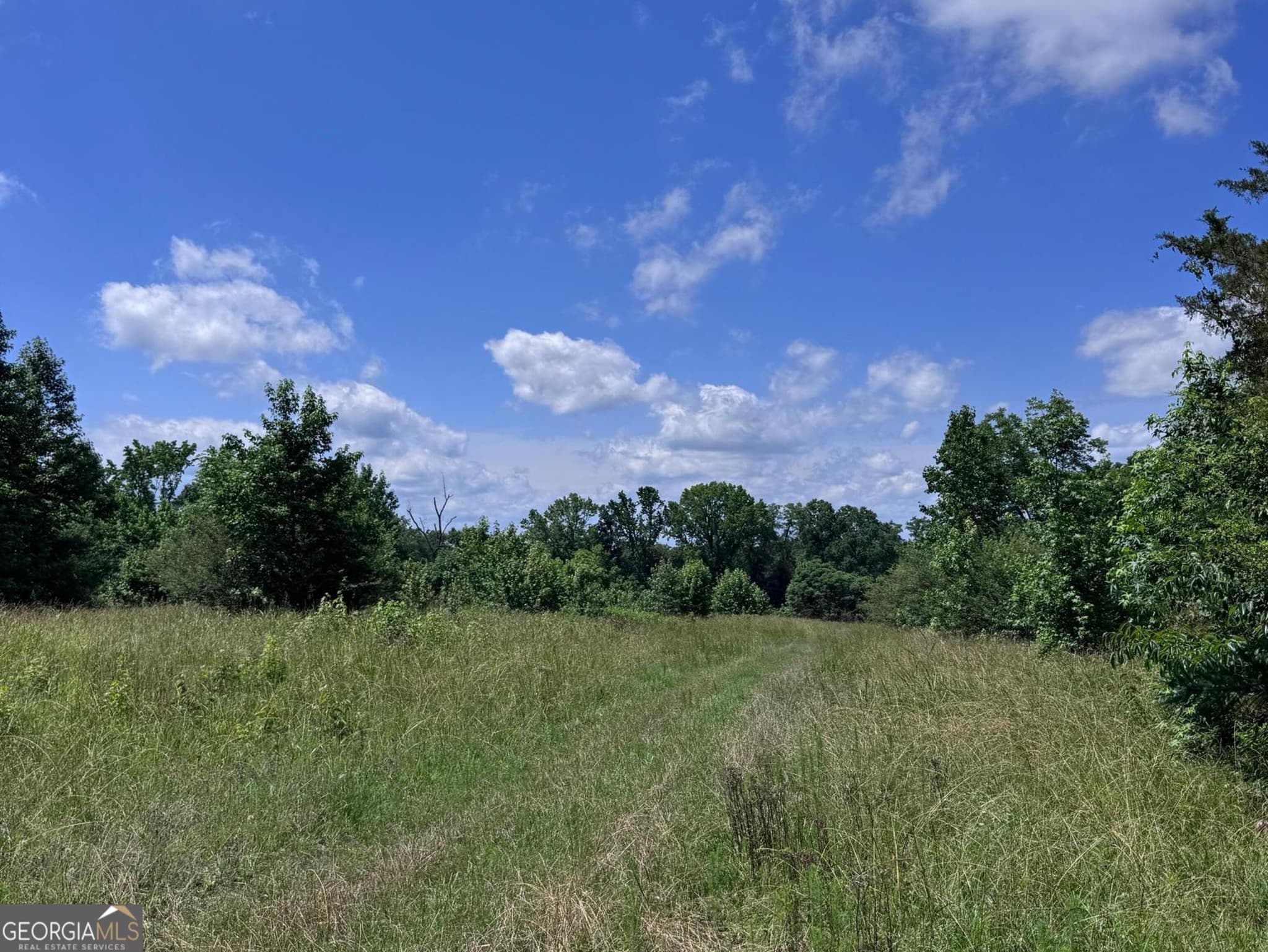 agriculture for sale at 427 Dripping Rock Road, Molena, GA 30258 — photo 8