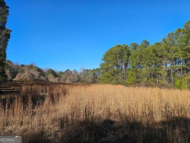 estate lot for sale at 0 Daniel Road, Villa Rica, GA 30180 — photo 3