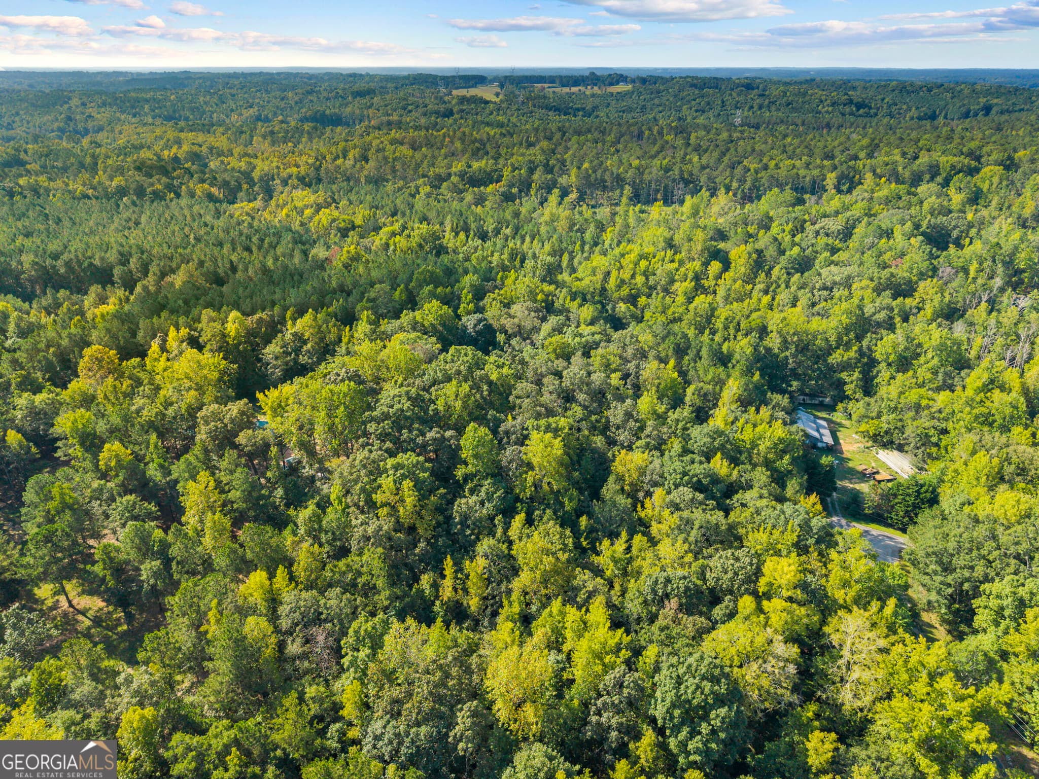 2 bedroom, 2 bathroom, 1,500 sq ft cabin,loft,farm for sale at 1250 Guinn Road, Madison, GA 30650 — photo 4