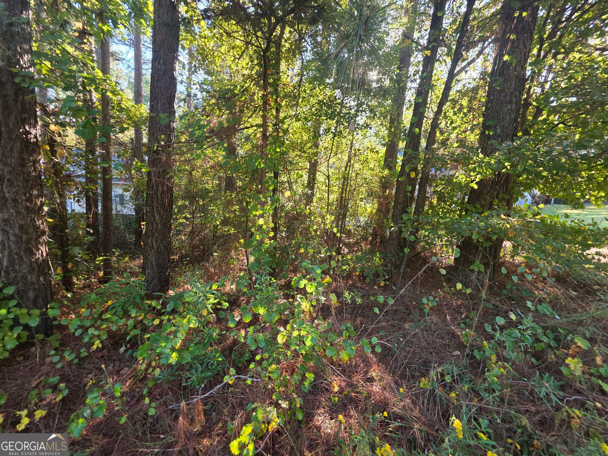 residential lot for sale at 251 Christian Circle, Carrollton, GA 30116 — photo 3
