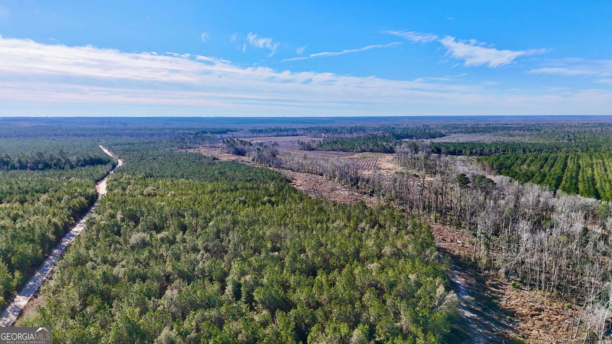 agriculture under contract at TRACT 2 Tillman Cemetery Road, Lumber City, GA 31549 — photo 4