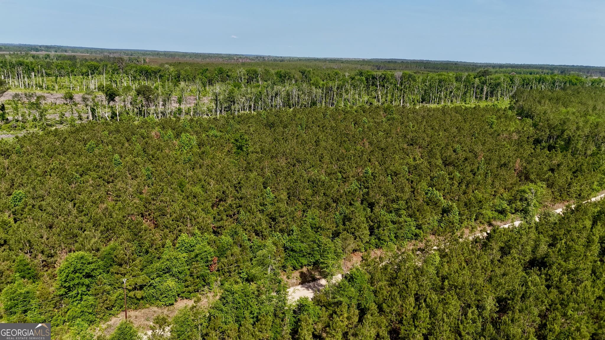 agriculture under contract at TRACT 2 Tillman Cemetery Road, Lumber City, GA 31549 — photo 8