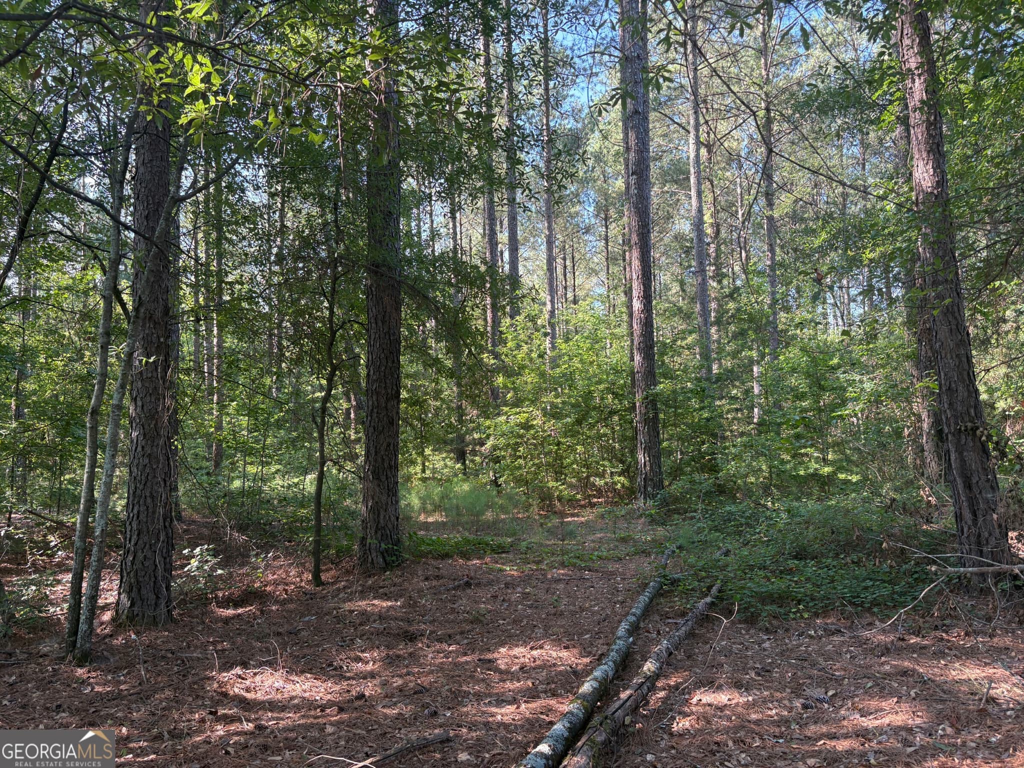 unimproved land for sale at 41 Elton Stewart Road, Carlton, GA 30627 — photo 2