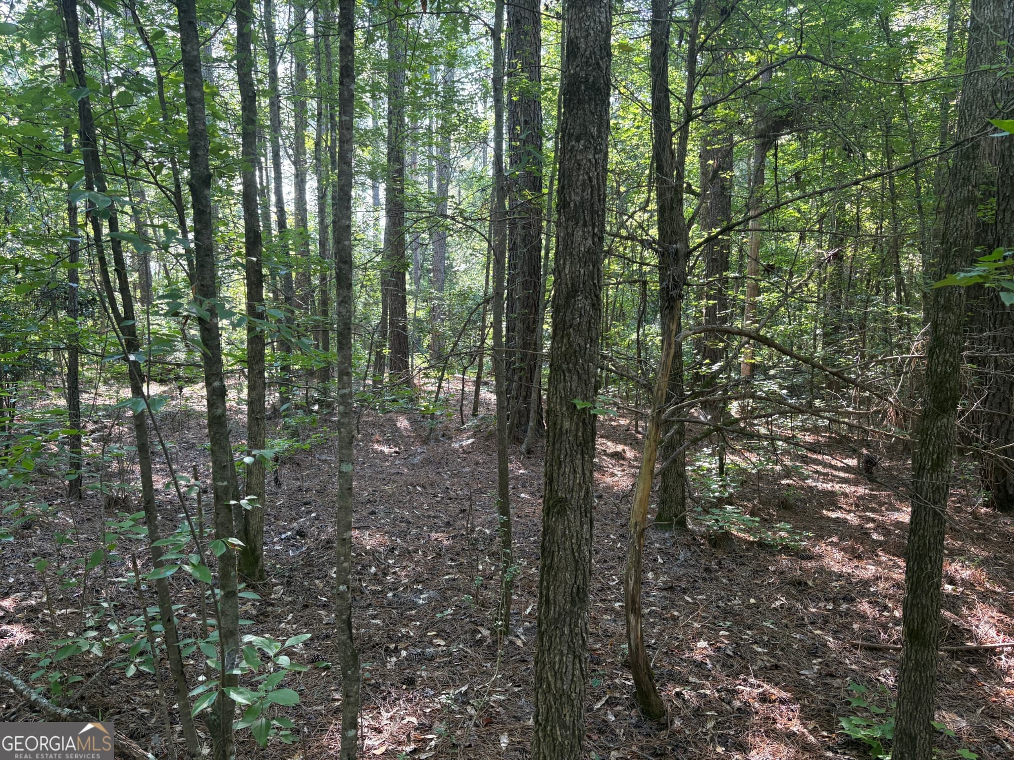 unimproved land for sale at 41 Elton Stewart Road, Carlton, GA 30627 — photo 6