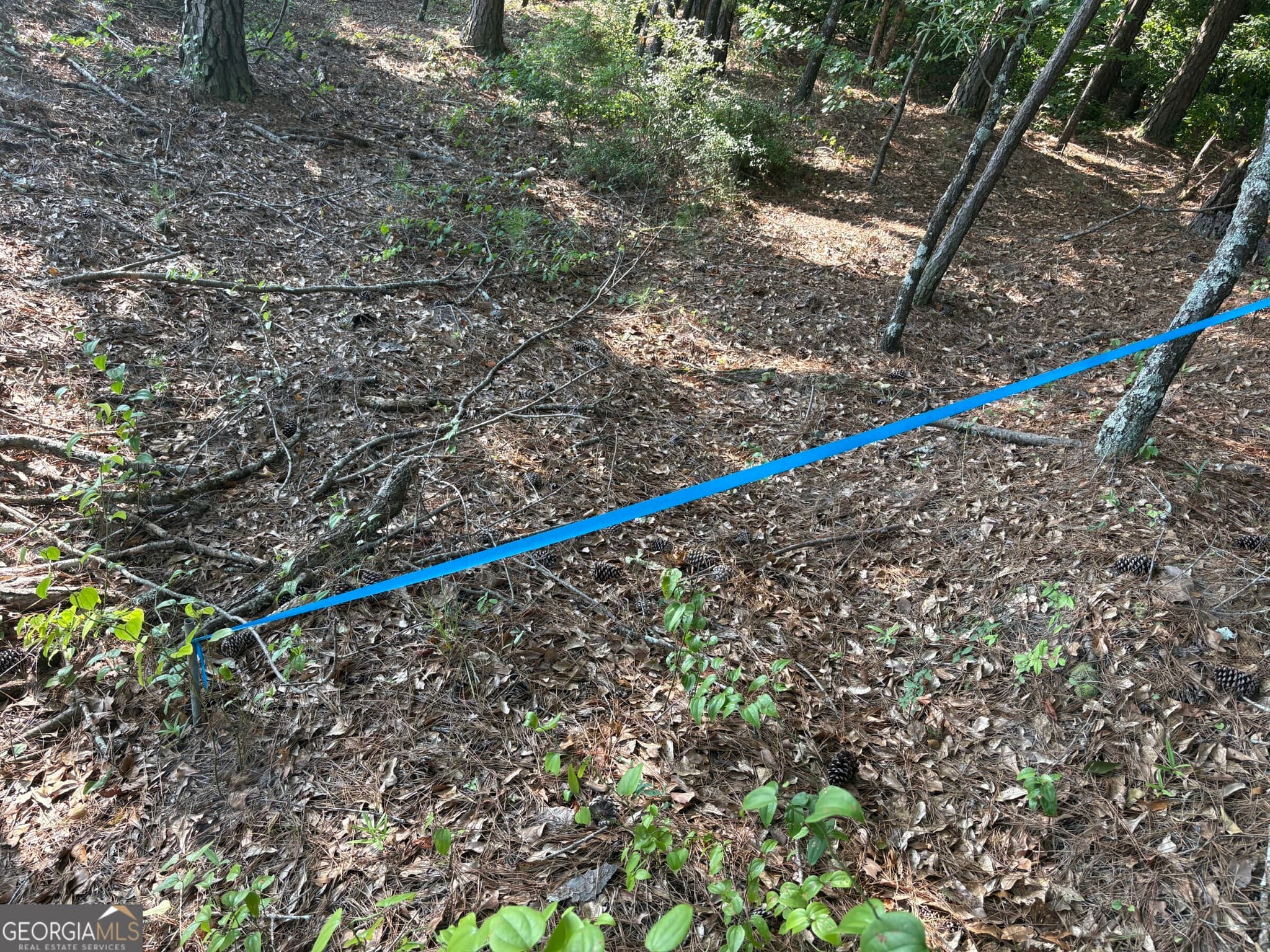 unimproved land for sale at 41 Elton Stewart Road, Carlton, GA 30627 — photo 7