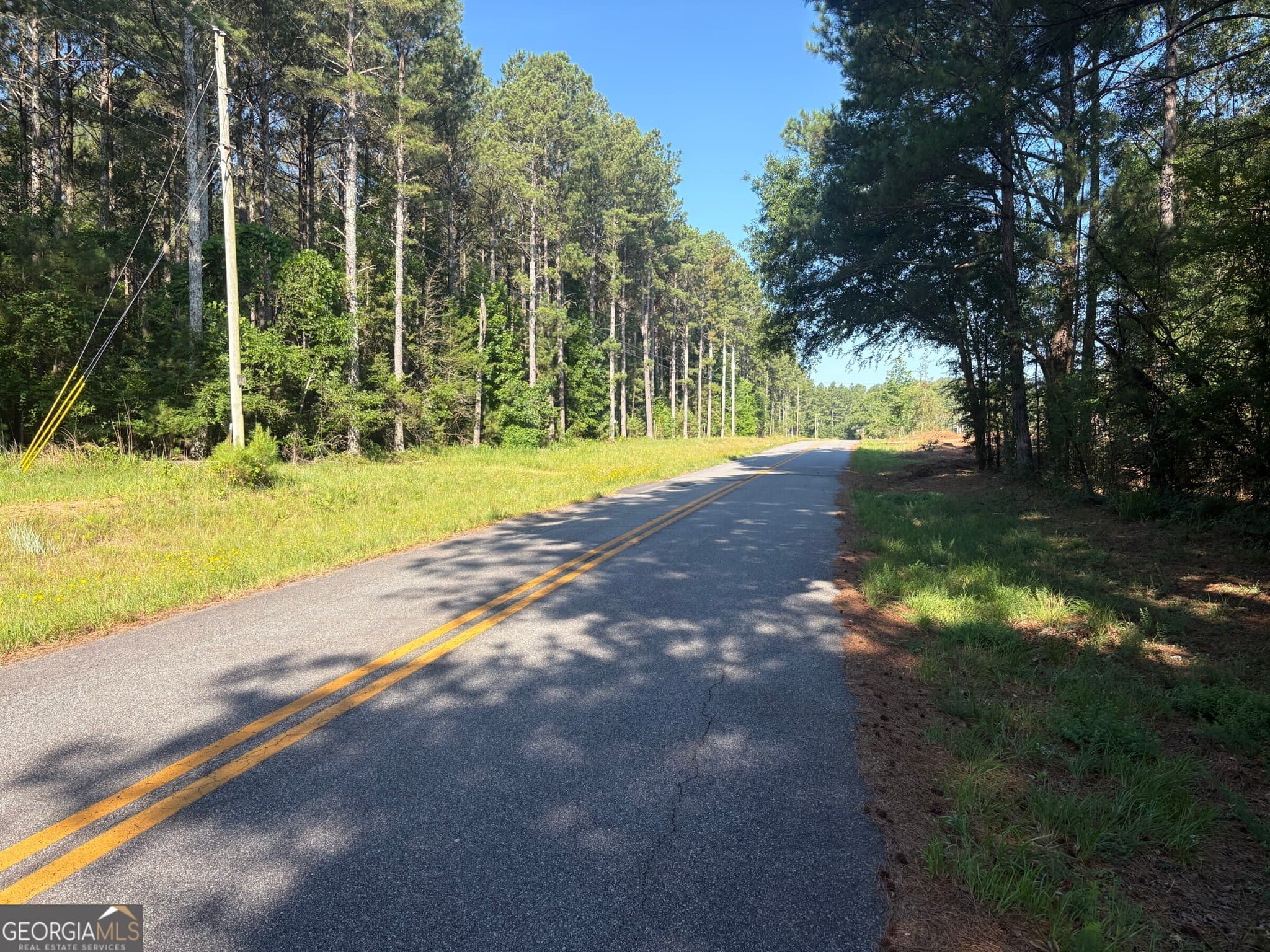 unimproved land for sale at 41 Elton Stewart Road, Carlton, GA 30627 — photo 1 of 12