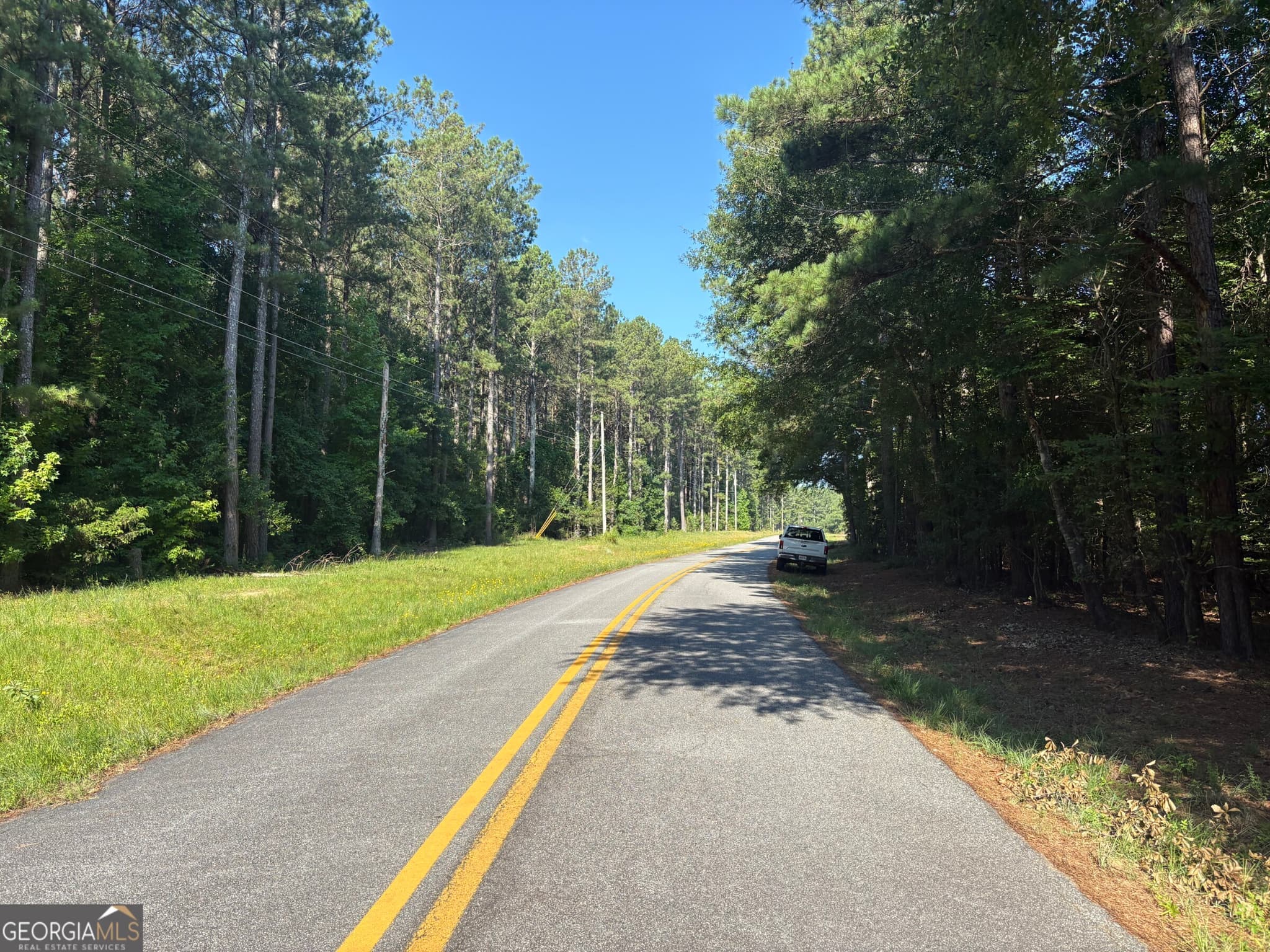 unimproved land for sale at 41 Elton Stewart Road, Carlton, GA 30627 — photo 8