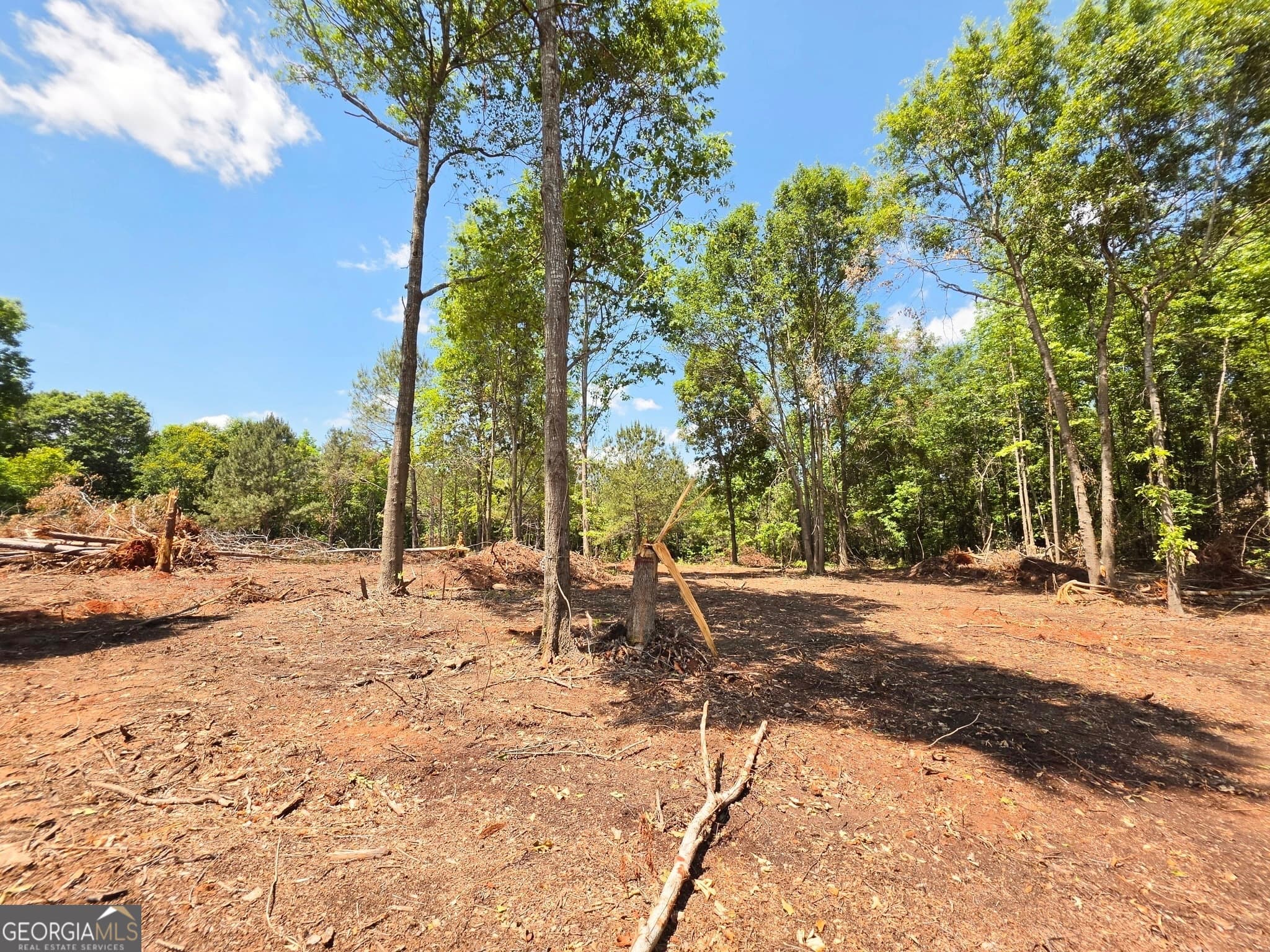 residential lot for sale at 148 Berry Road LOT 12A, Barnesville, GA 30204 — photo 2