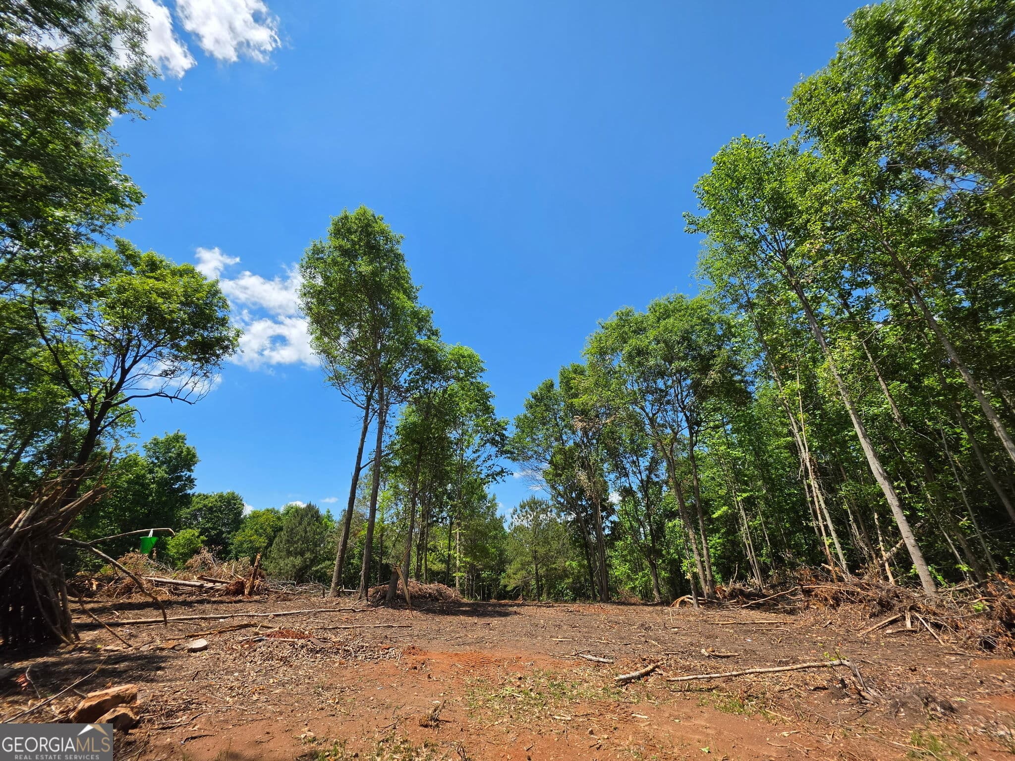 residential lot for sale at 148 Berry Road LOT 12A, Barnesville, GA 30204 — photo 6