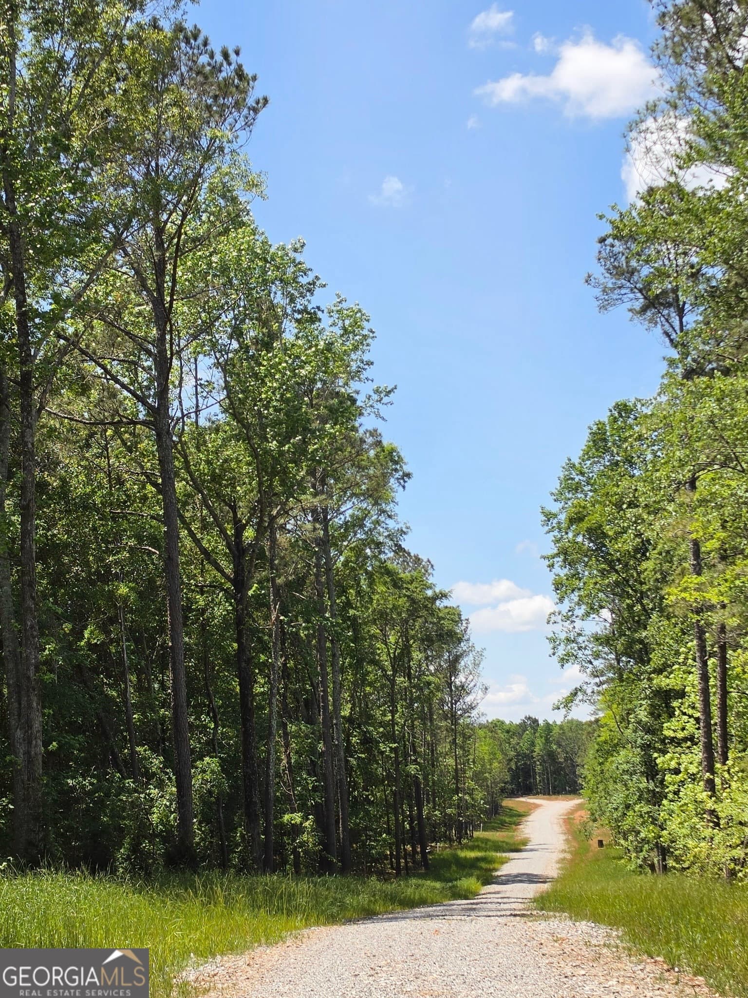 residential lot for sale at 148 Berry Road LOT 12A, Barnesville, GA 30204 — photo 5