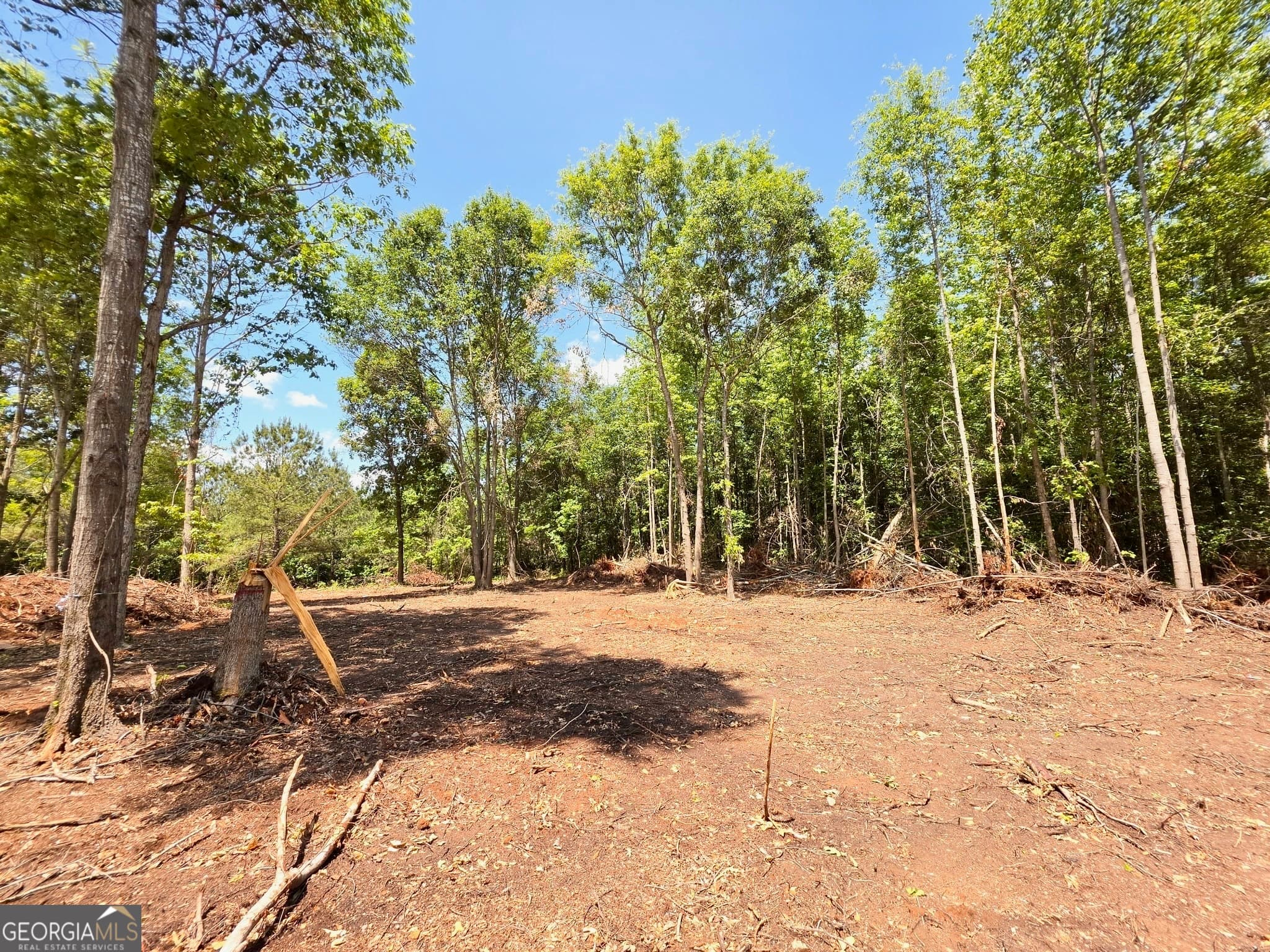 residential lot for sale at 148 Berry Road LOT 12A, Barnesville, GA 30204 — photo 4