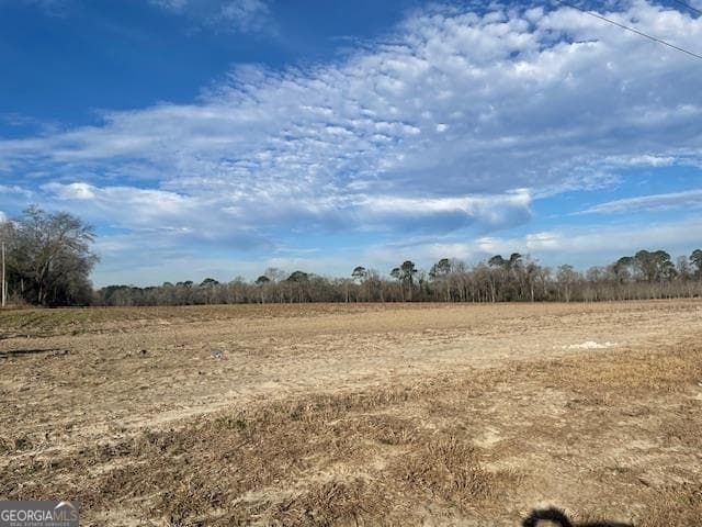 unimproved land for sale at 0 S Hwy 301, Register, GA 30452 — photo 2