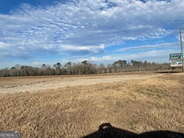 unimproved land for sale at 0 S Hwy 301, Register, GA 30452 — photo 3