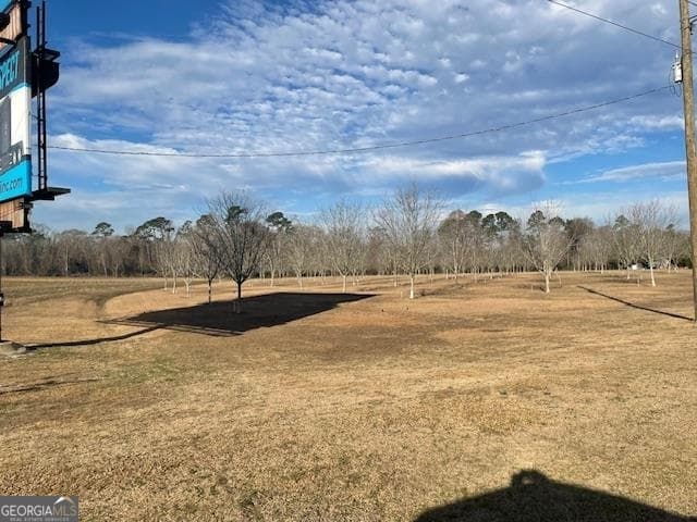 unimproved land for sale at 0 S Hwy 301, Register, GA 30452 — photo 4