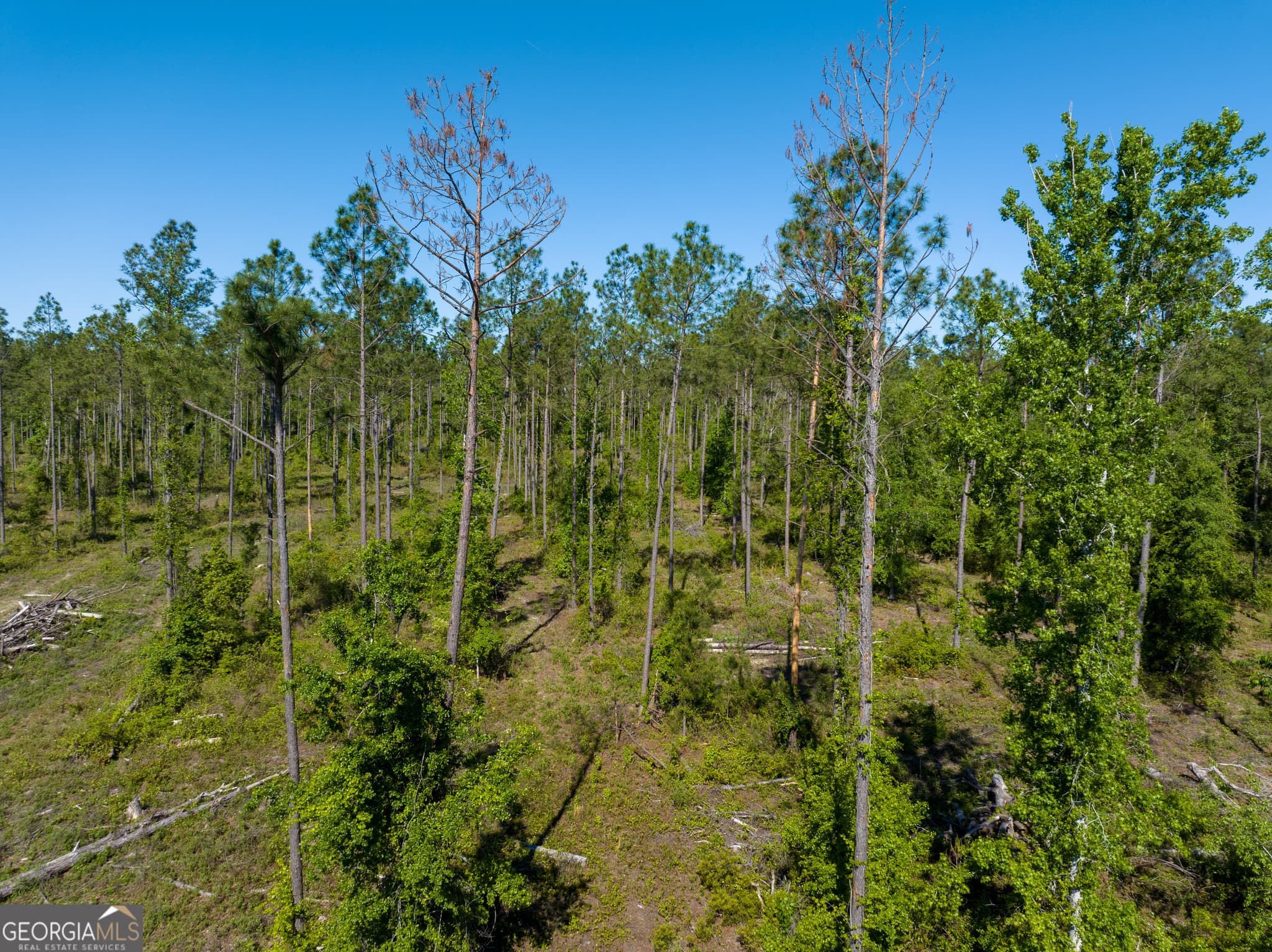 unimproved land for sale at 0 Knights Academy Road, Valdosta, GA 31605 — photo 2