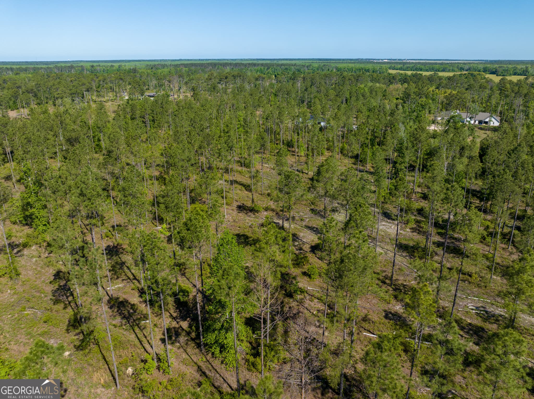 unimproved land for sale at 0 Knights Academy Road, Valdosta, GA 31605 — photo 6