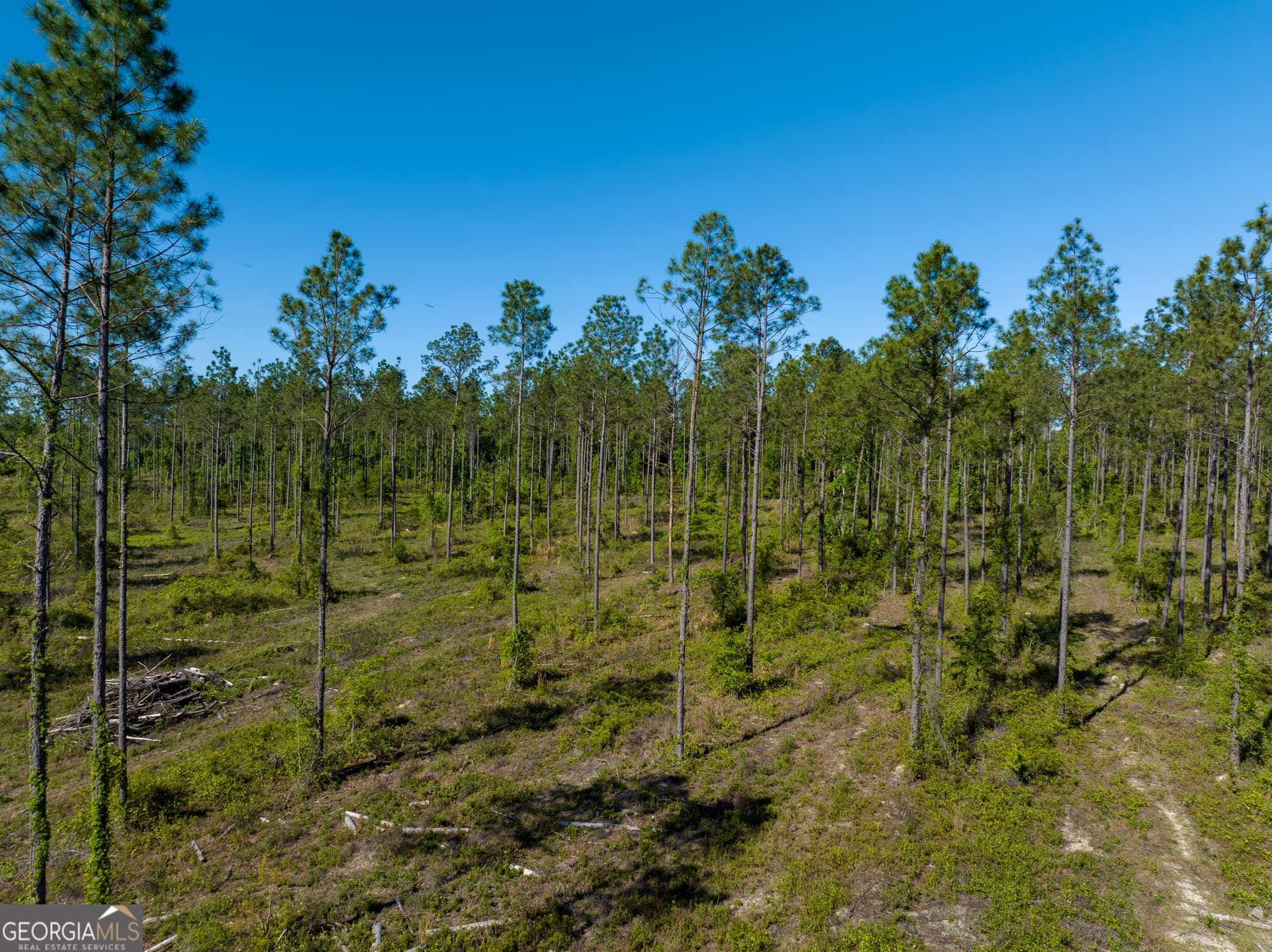 unimproved land for sale at 0 Knights Academy Road, Valdosta, GA 31605 — photo 3