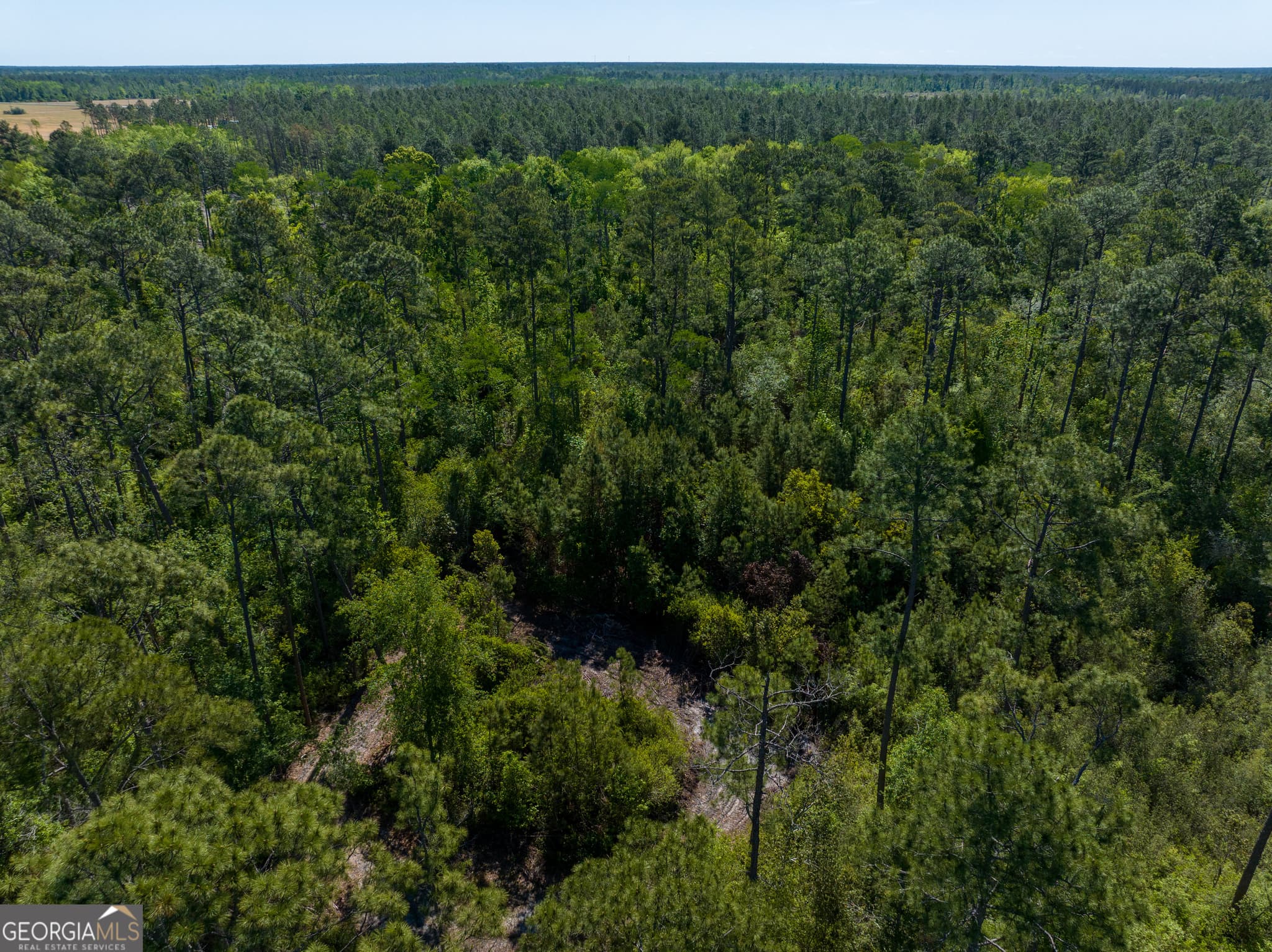 unimproved land for sale at 0 Knights Academy Road, Valdosta, GA 31605 — photo 9