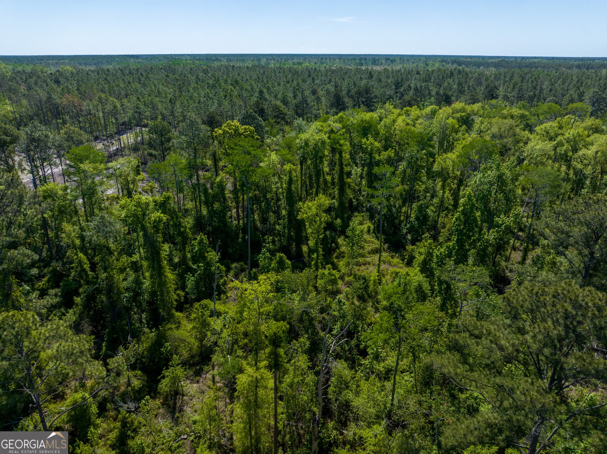 unimproved land for sale at 0 Knights Academy Road, Valdosta, GA 31605 — photo 10