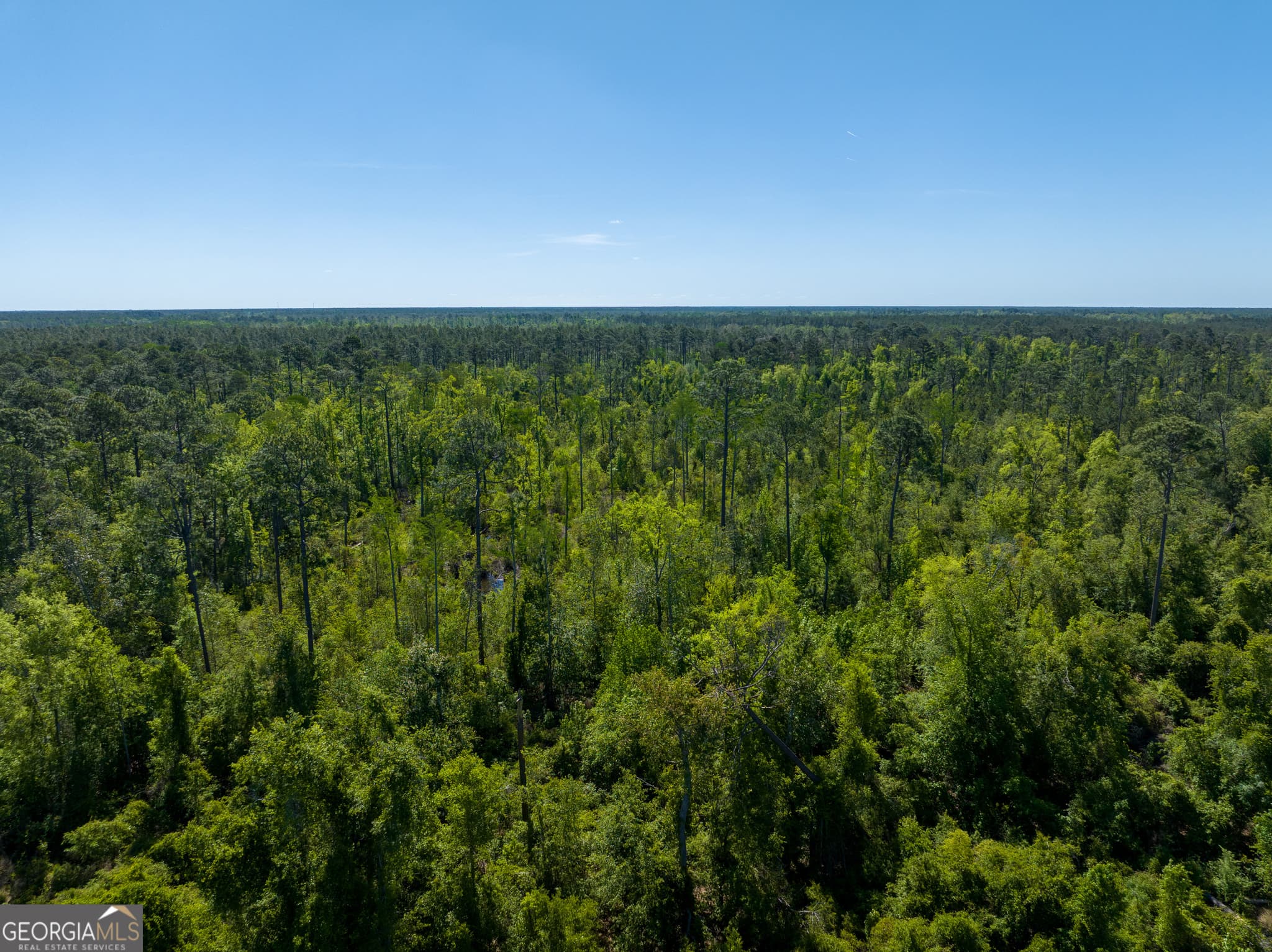 unimproved land for sale at 0 Knights Academy Road, Valdosta, GA 31605 — photo 4