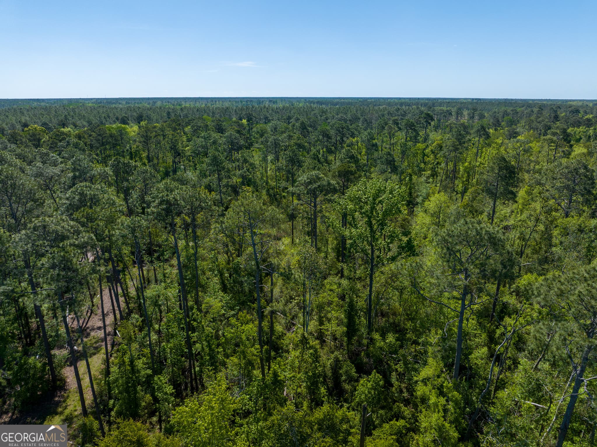 unimproved land for sale at 0 Knights Academy Road, Valdosta, GA 31605 — photo 8