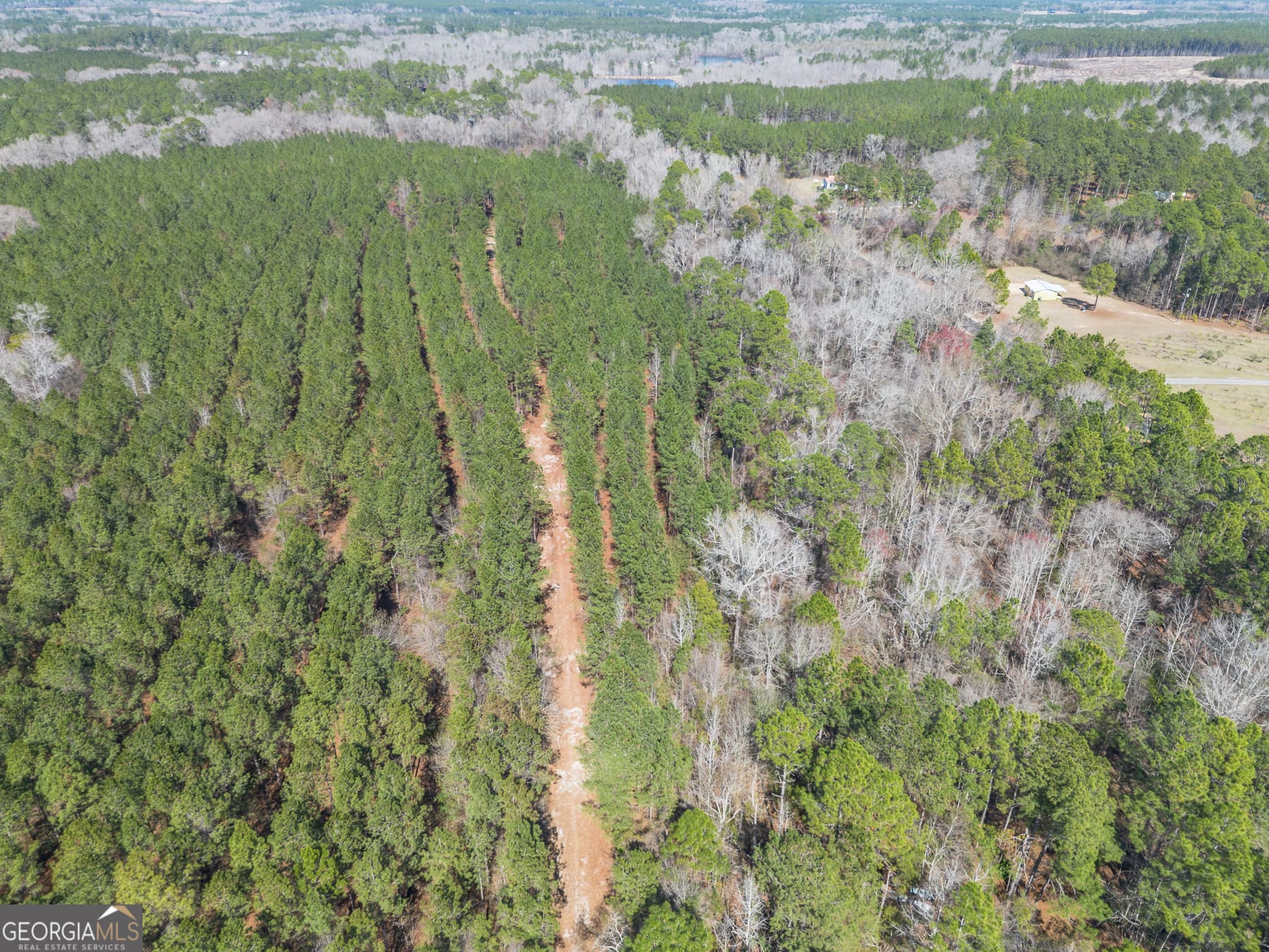 agriculture for sale at LOT 7 Golf Course Road, Eastman, GA 31023 — photo 6