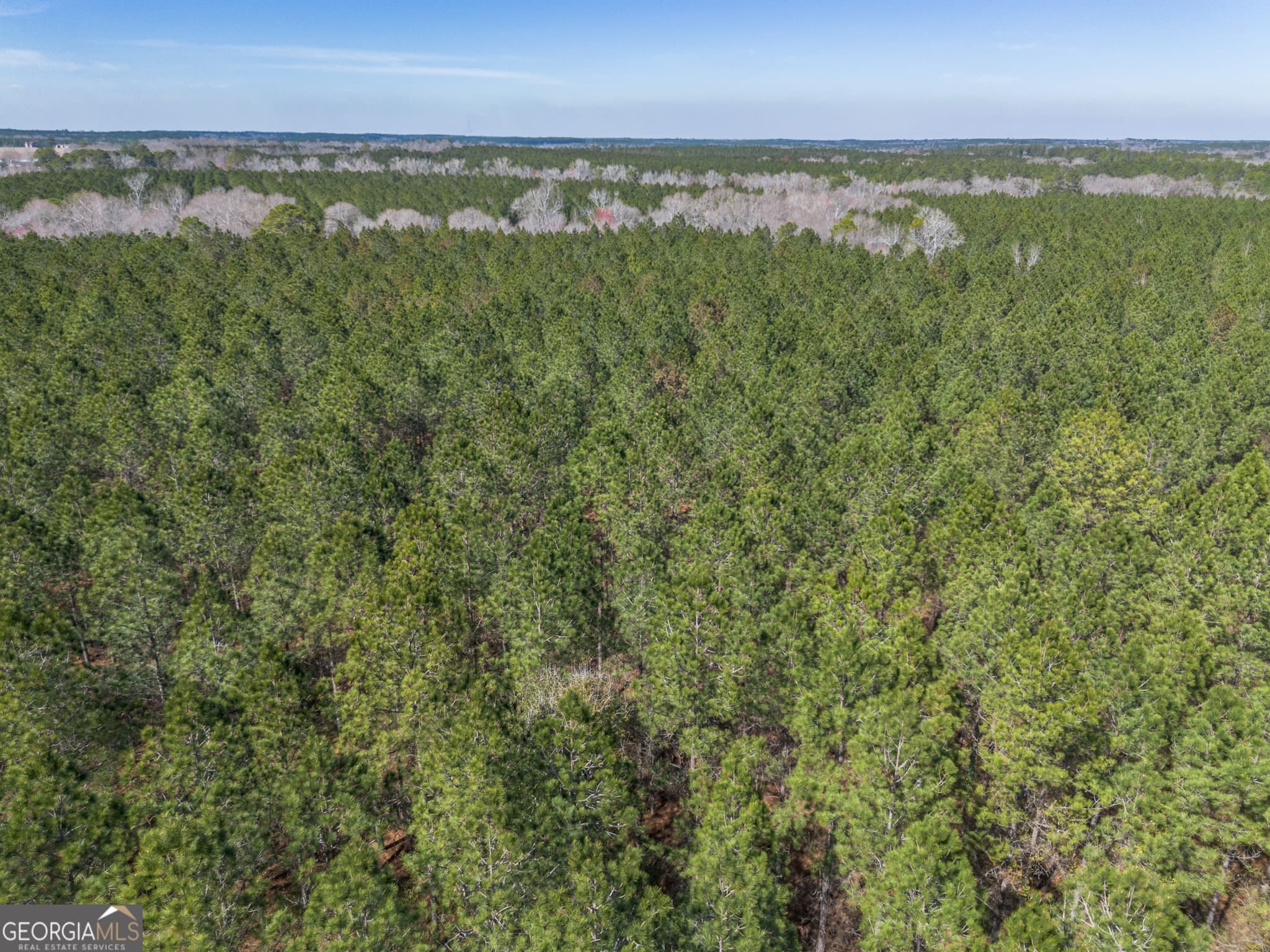 agriculture for sale at LOT 7 Golf Course Road, Eastman, GA 31023 — photo 7