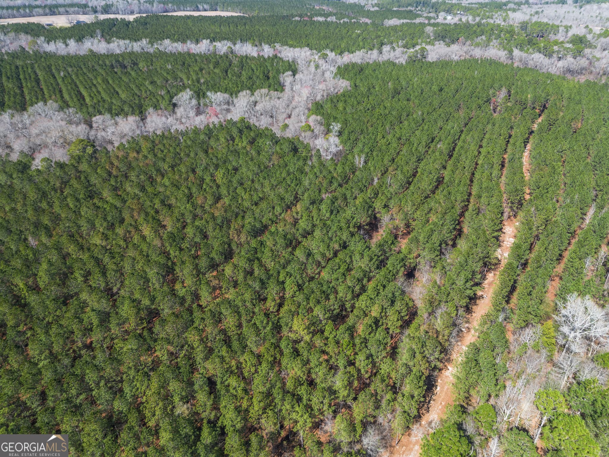 agriculture for sale at LOT 7 Golf Course Road, Eastman, GA 31023 — photo 5