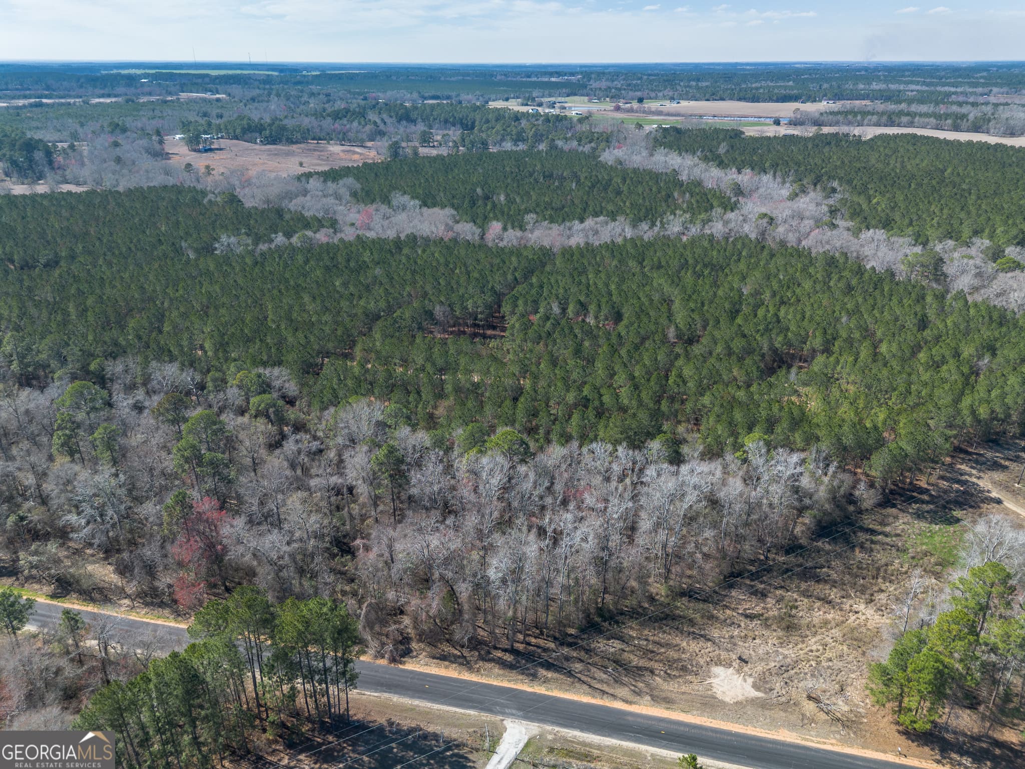 agriculture for sale at LOT 7 Golf Course Road, Eastman, GA 31023 — photo 10