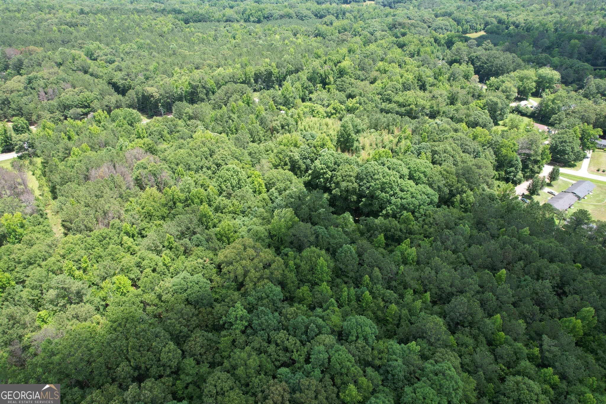 unimproved land for sale at A Newnan Road, Griffin, GA 30223 — photo 7