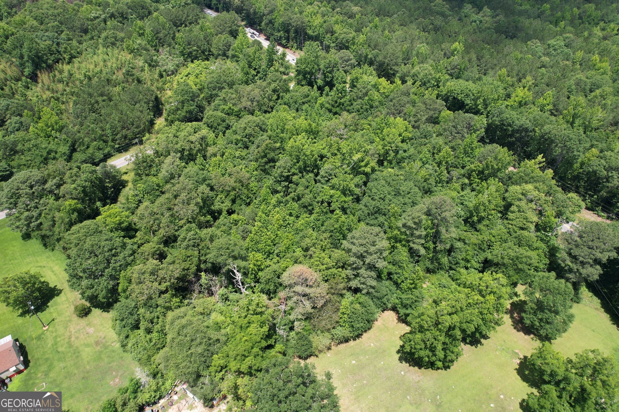 unimproved land for sale at A Newnan Road, Griffin, GA 30223 — photo 5
