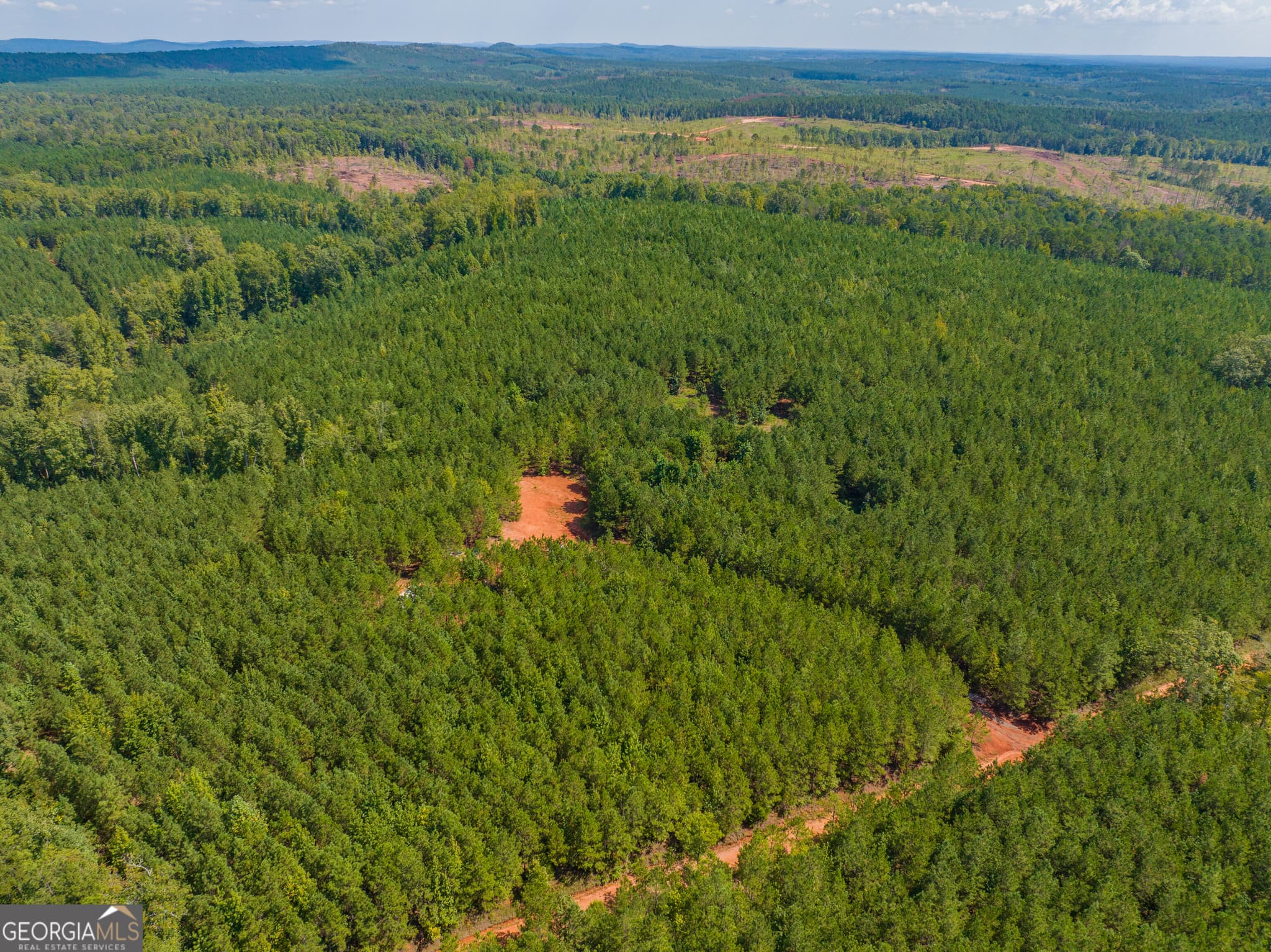 unimproved land for sale at 132 ACRES Carlisle Gap Road, Woodland, GA 31836 — photo 6