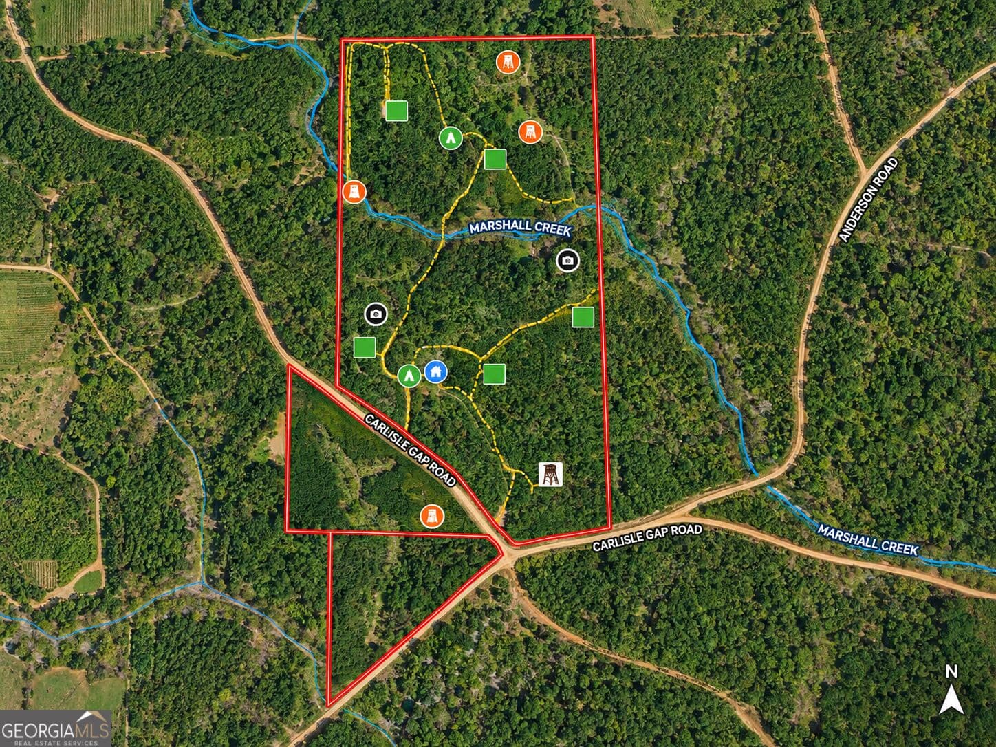 unimproved land for sale at 132 ACRES Carlisle Gap Road, Woodland, GA 31836 — photo 5