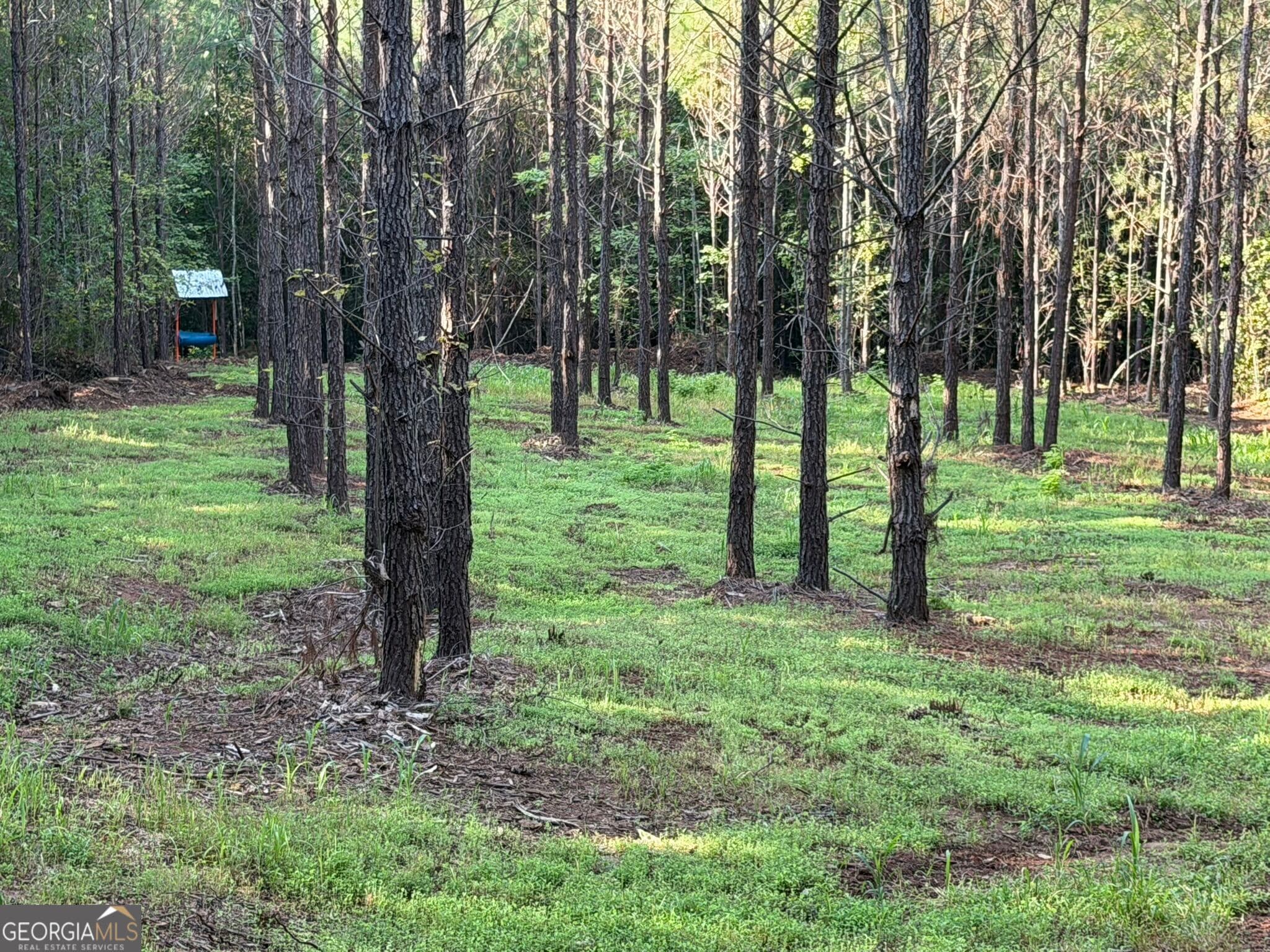 unimproved land for sale at 132 ACRES Carlisle Gap Road, Woodland, GA 31836 — photo 9