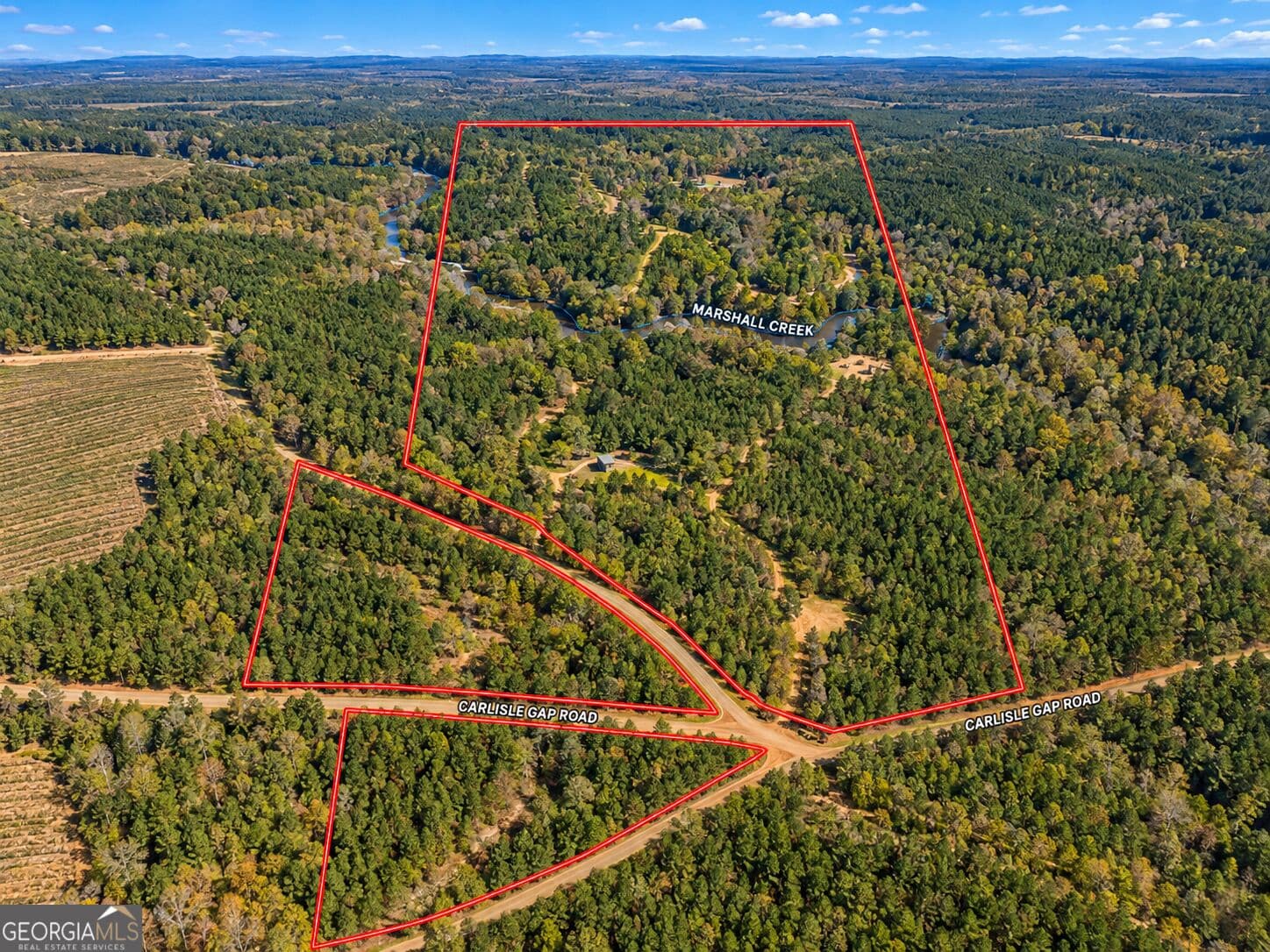 unimproved land for sale at 132 ACRES Carlisle Gap Road, Woodland, GA 31836 — photo 4