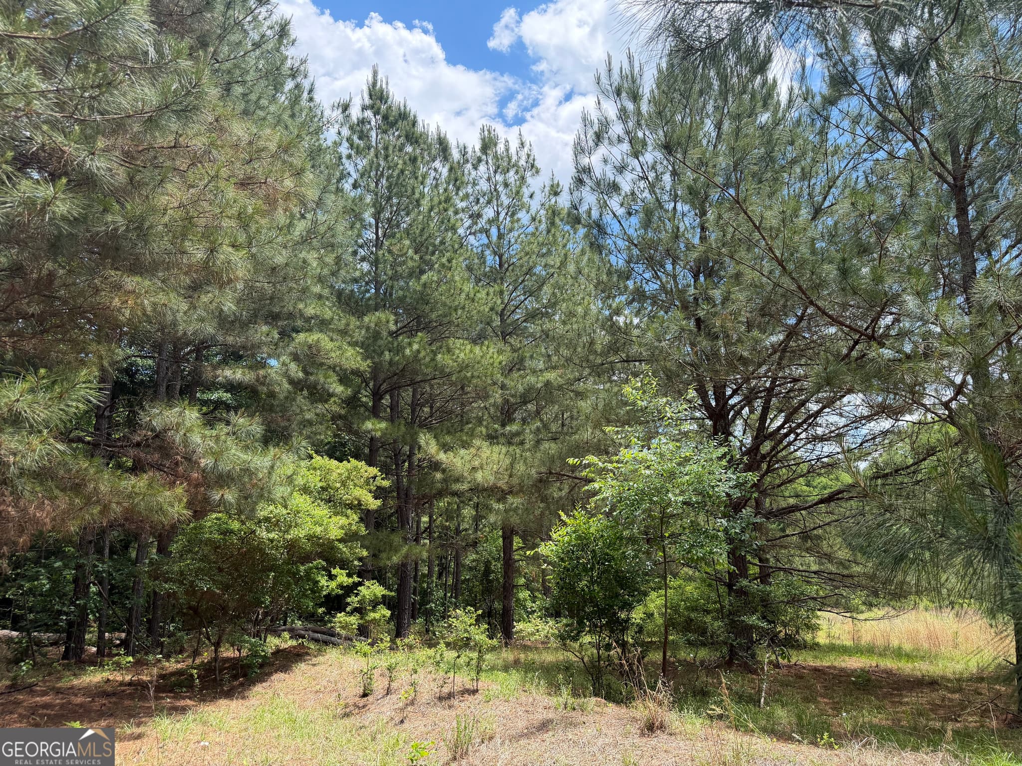 agriculture sold at 008 Little Sandy Creek Road, Toomsboro, GA 31090