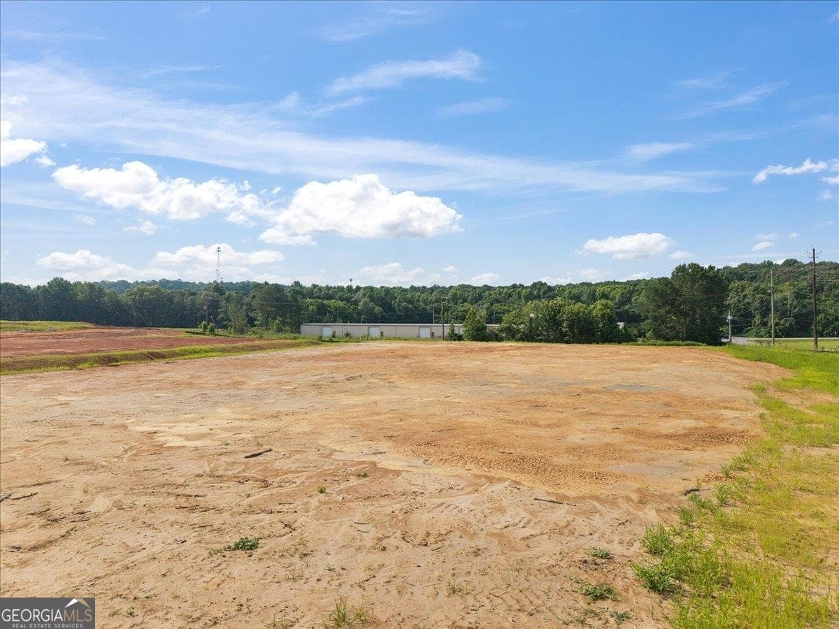 commercial for sale at LOT 10 Town Creek Boulevard, Greensboro, GA 30642 — photo 8