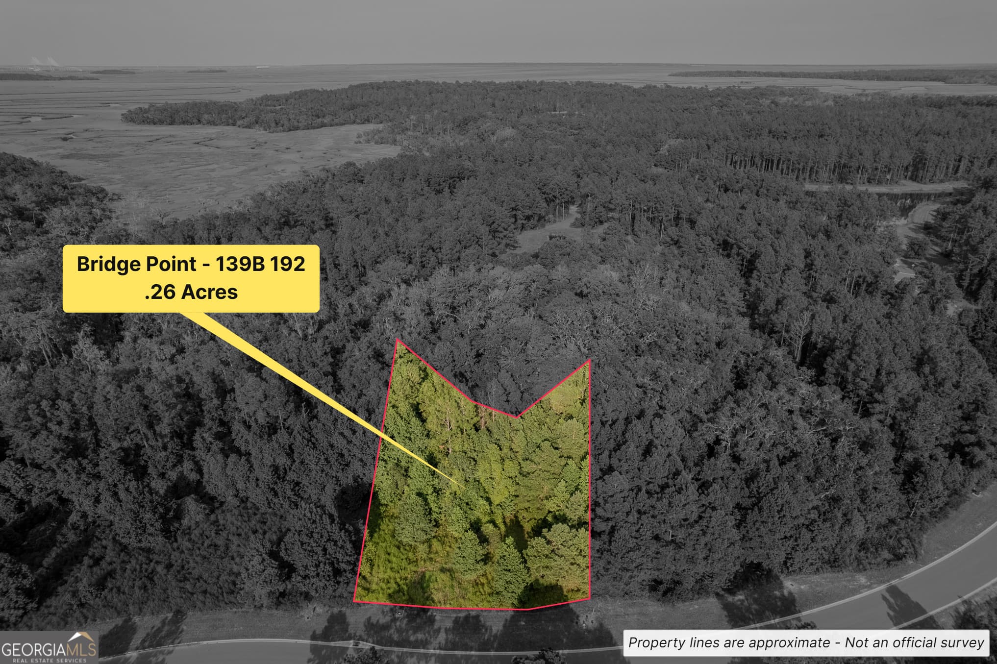 residential lot for sale at LOT 192 Bridge View Lane, Waverly, GA 31565 — photo 2