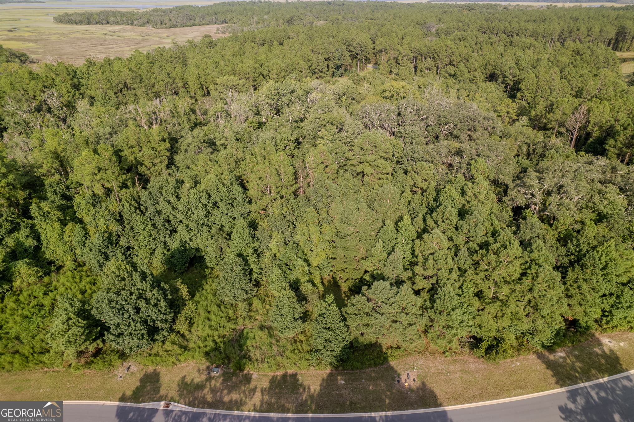 residential lot for sale at LOT 192 Bridge View Lane, Waverly, GA 31565 — photo 6