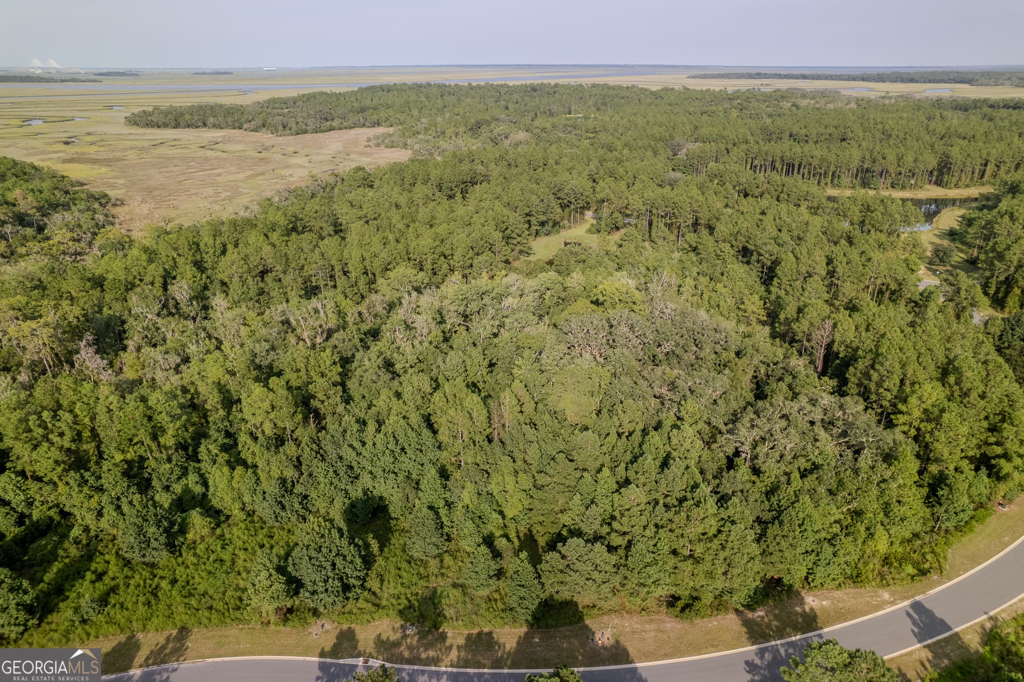 residential lot for sale at LOT 192 Bridge View Lane, Waverly, GA 31565 — photo 7